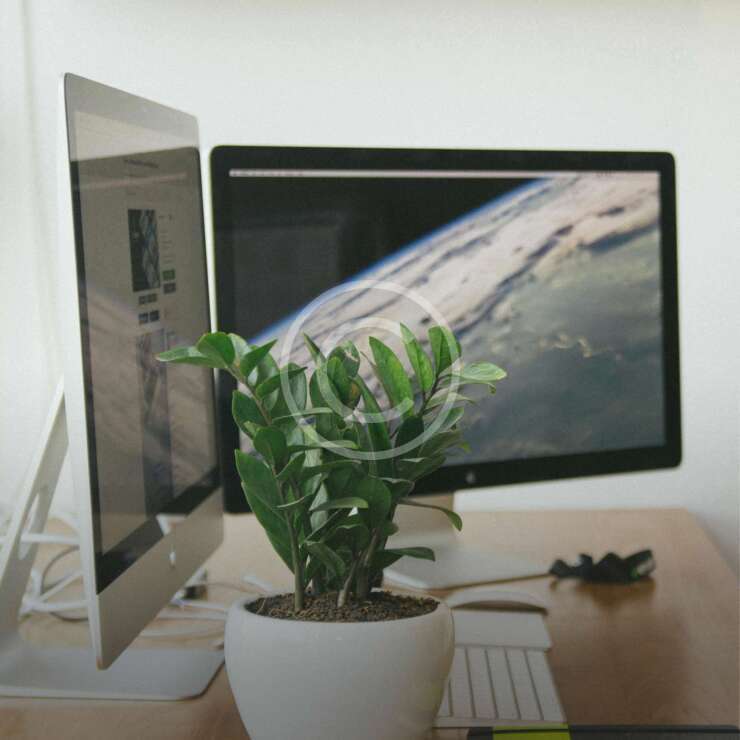 Software
