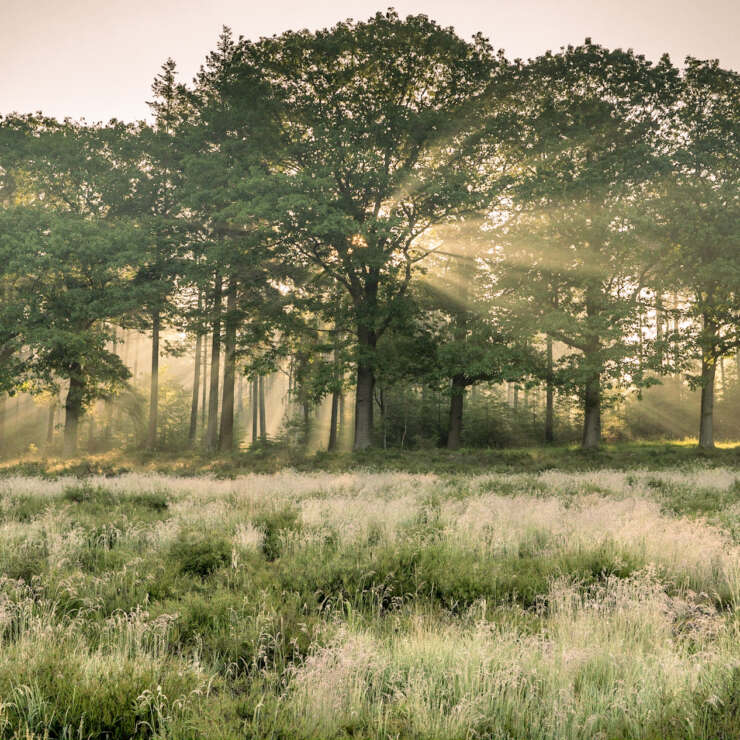 Natuur